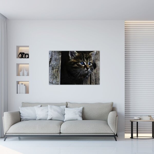 Slika mačića (90x60 cm)
