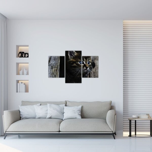 Slika mačića (90x60 cm)