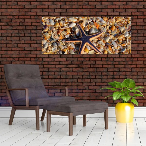 Slika morske zvijezde (120x50 cm)
