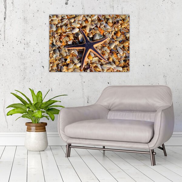 Slika morske zvijezde (70x50 cm)