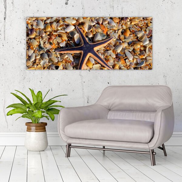 Slika morske zvijezde (120x50 cm)
