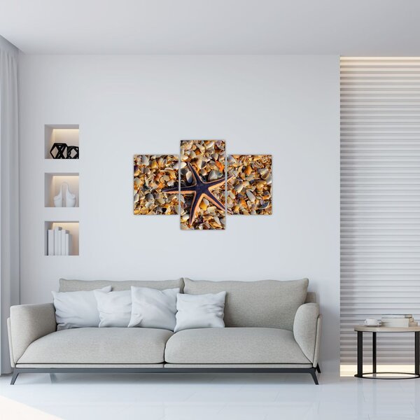 Slika morske zvijezde (90x60 cm)