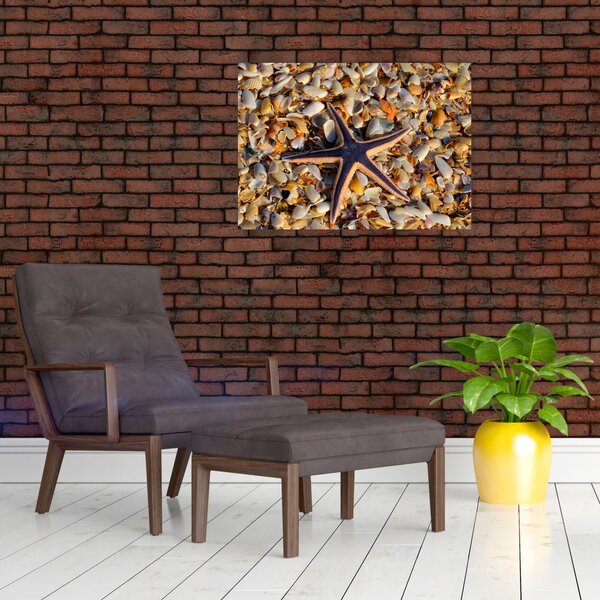 Slika morske zvijezde (70x50 cm)