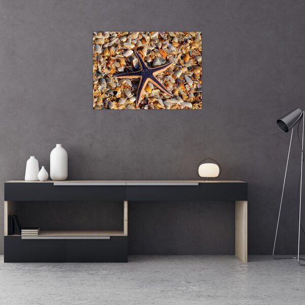 Slika morske zvijezde (70x50 cm)