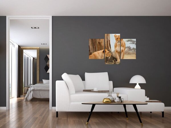 Slika - dvije lavice (90x60 cm)