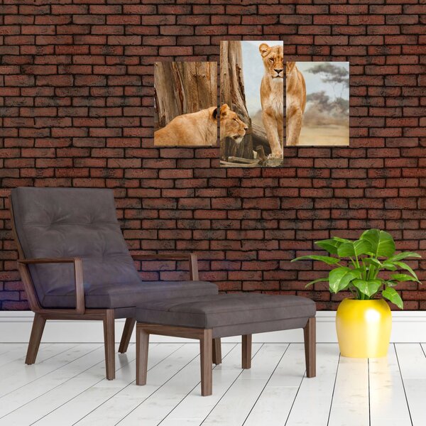 Slika - dvije lavice (90x60 cm)