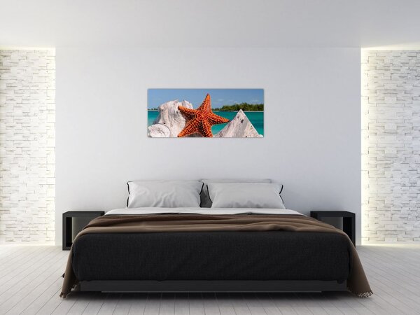 Slika morske zvijezde (120x50 cm)