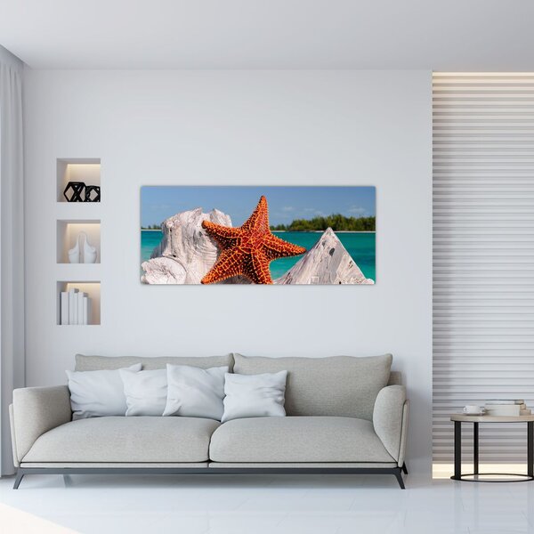Slika morske zvijezde (120x50 cm)