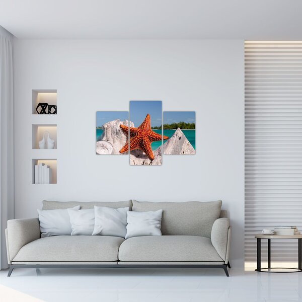 Slika morske zvijezde (90x60 cm)
