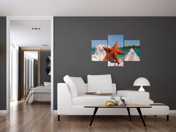 Slika morske zvijezde (90x60 cm)
