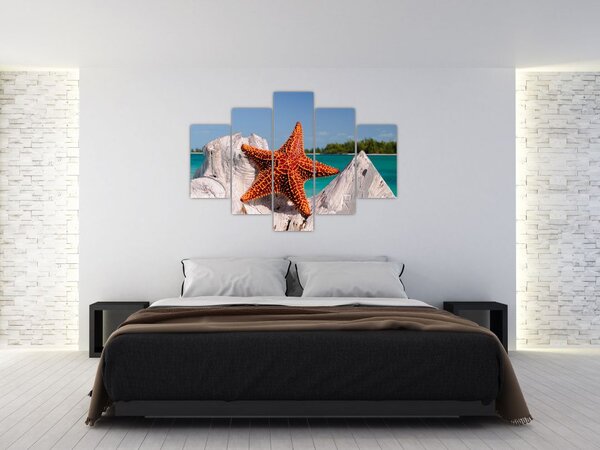 Slika morske zvijezde (150x105 cm)