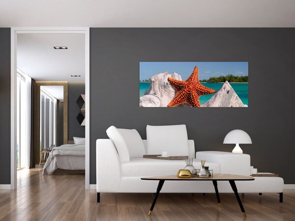 Slika morske zvijezde (120x50 cm)