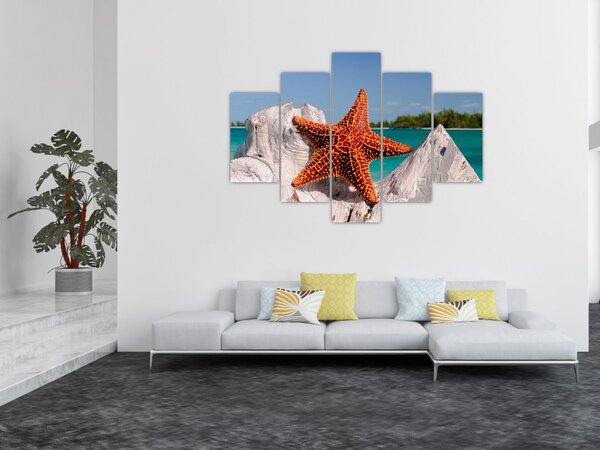 Slika morske zvijezde (150x105 cm)