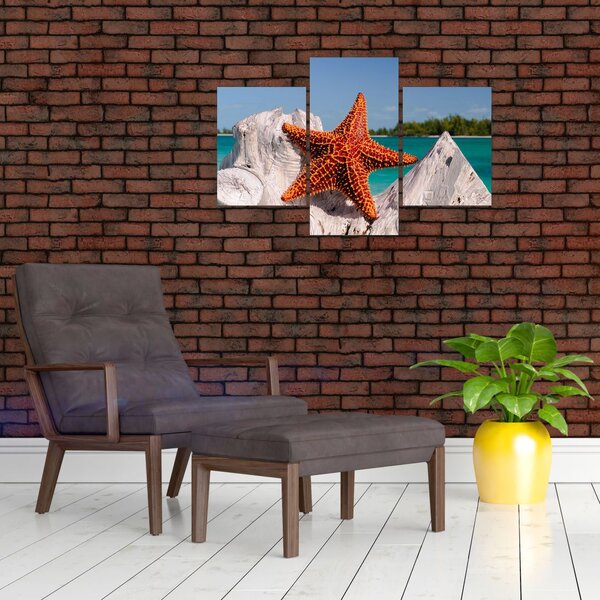 Slika morske zvijezde (90x60 cm)
