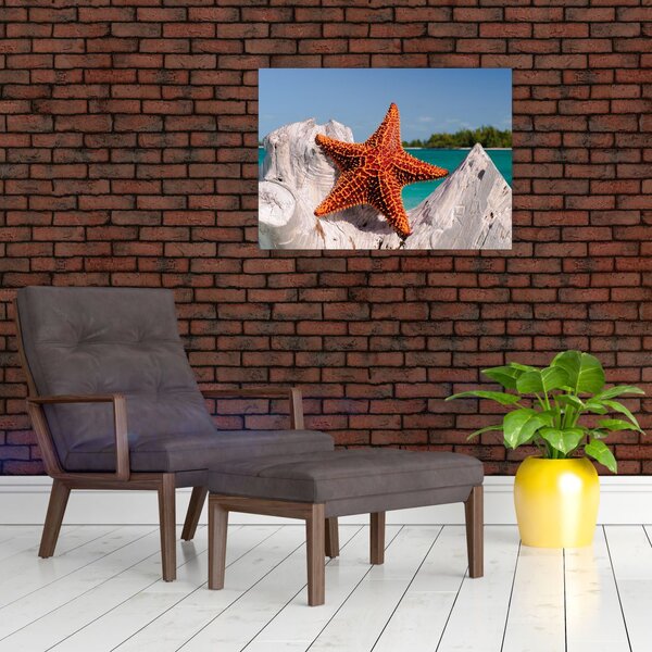 Slika morske zvijezde (70x50 cm)