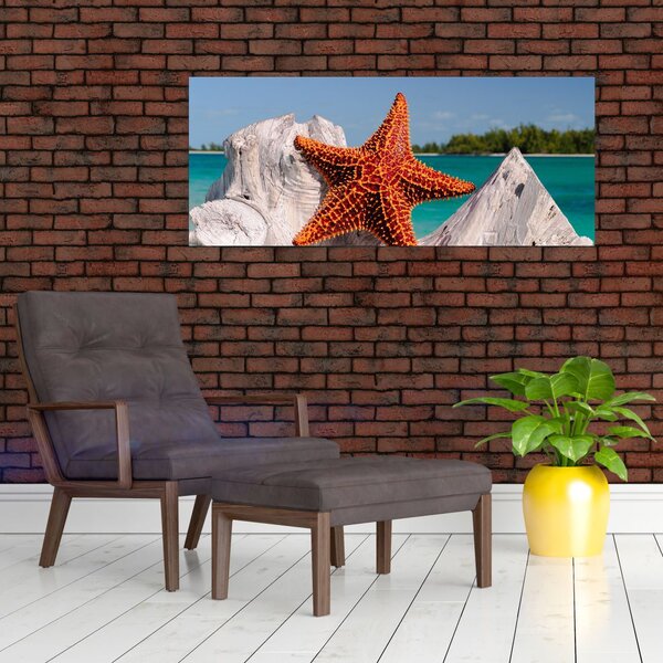 Slika morske zvijezde (120x50 cm)