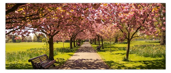 Slika - voćnjak trešanja (120x50 cm)