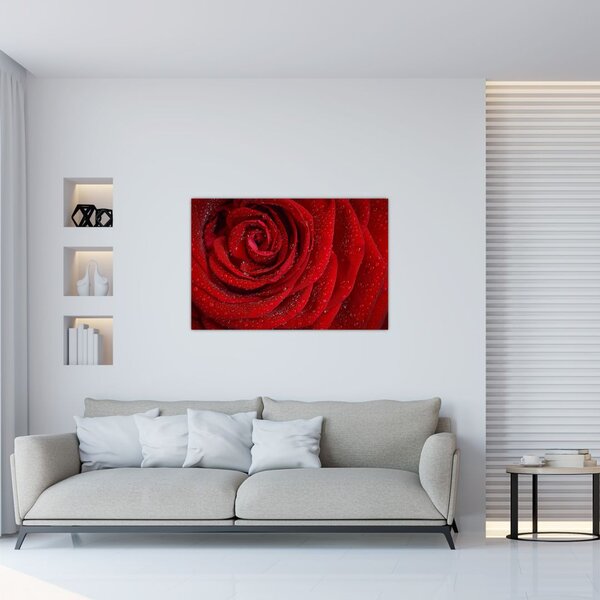 Slika - detalj ruže (90x60 cm)