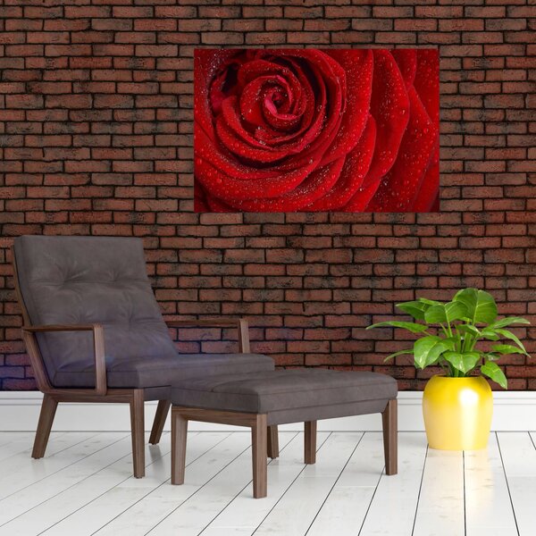 Slika - detalj ruže (90x60 cm)