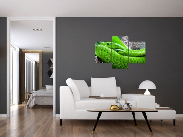Slika zelenih zmija (90x60 cm)