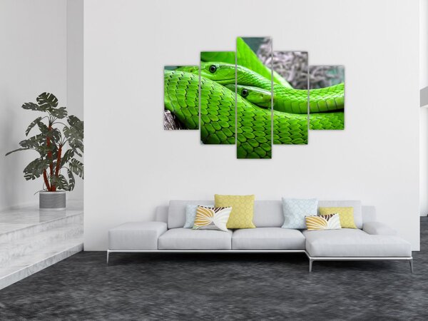 Slika zelenih zmija (150x105 cm)