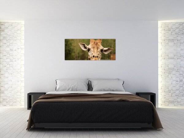 Slika žirafe (120x50 cm)