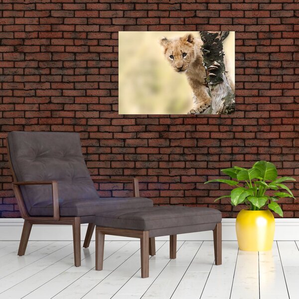 Slika mladunca lava (70x50 cm)