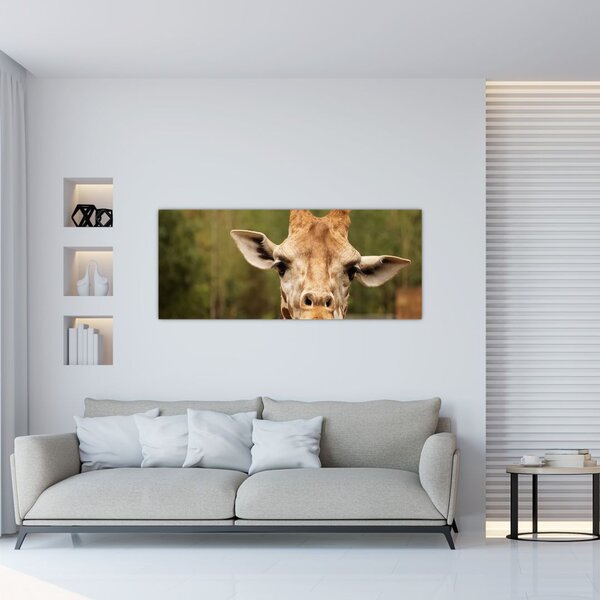 Slika žirafe (120x50 cm)