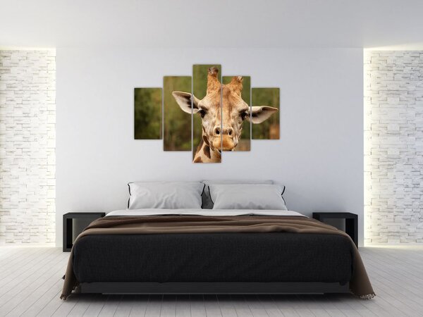 Slika žirafe (150x105 cm)