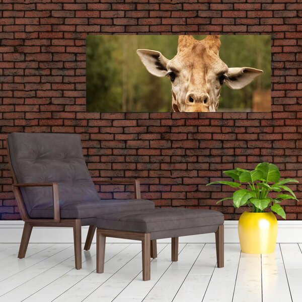 Slika žirafe (120x50 cm)