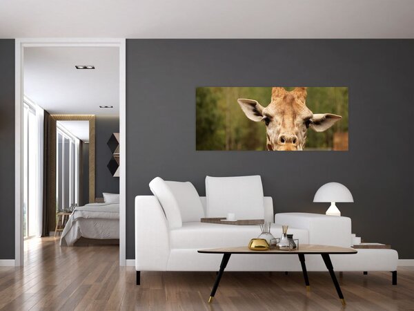 Slika žirafe (120x50 cm)