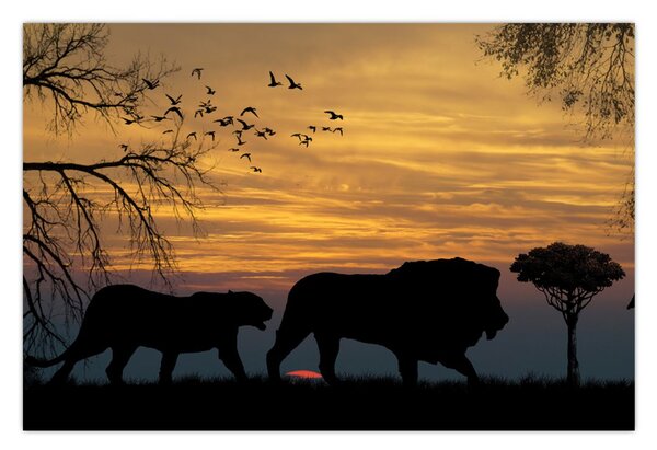 Safari slika (90x60 cm)