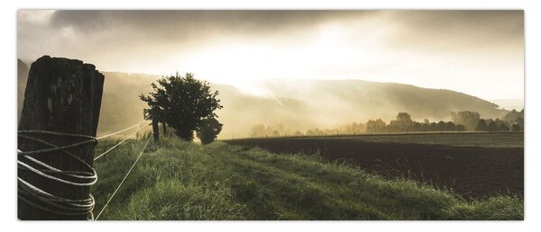 Slika livade (120x50 cm)