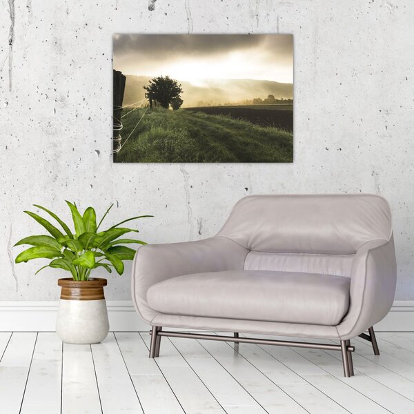 Slika livade (70x50 cm)