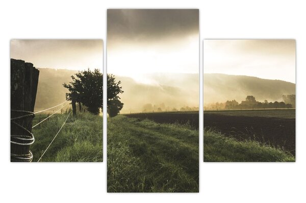 Slika livade (90x60 cm)