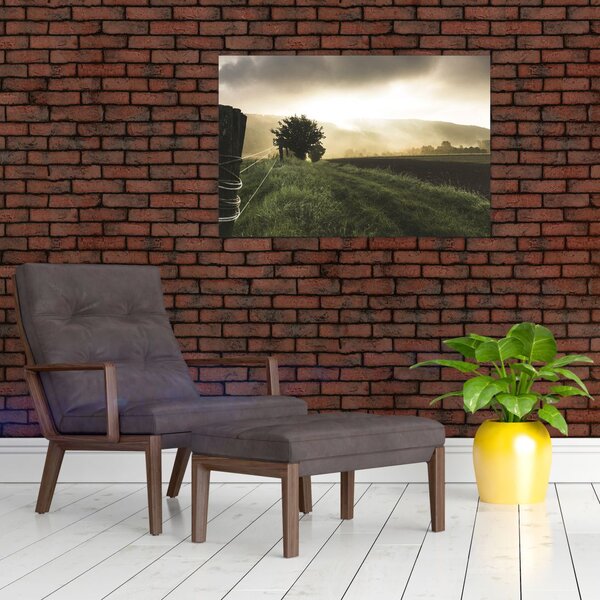 Slika livade (90x60 cm)