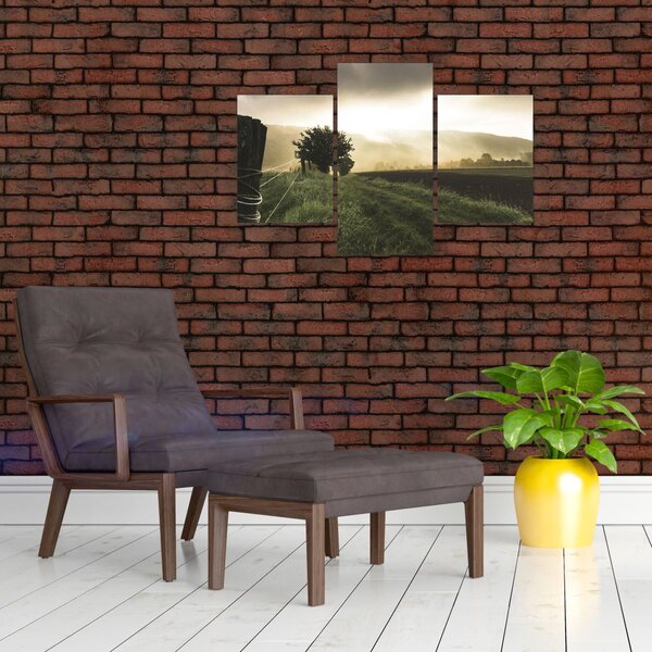 Slika livade (90x60 cm)