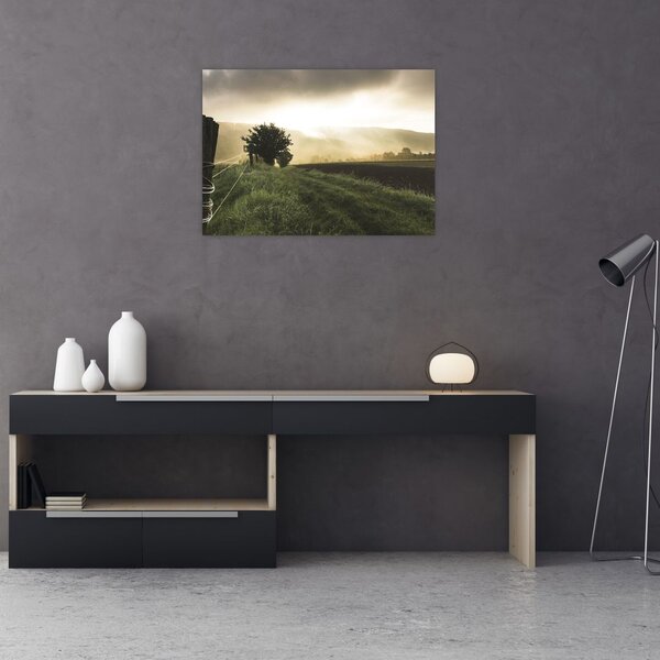 Slika livade (70x50 cm)