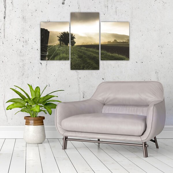 Slika livade (90x60 cm)
