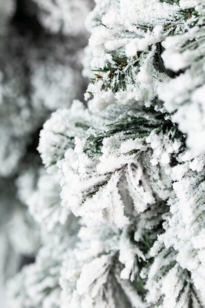 Umjetni bor - Amelija snowy - 80cm