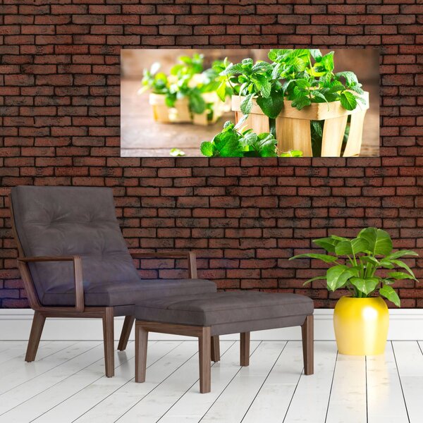 Slika svježe metvice (120x50 cm)