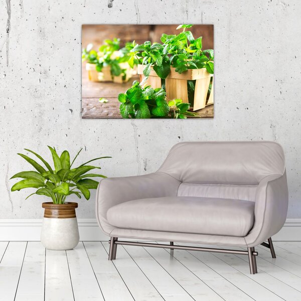 Slika svježe metvice (70x50 cm)
