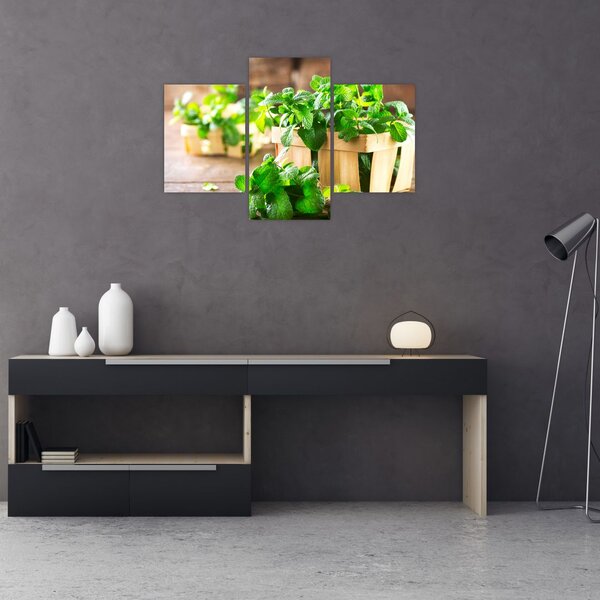 Slika svježe metvice (90x60 cm)