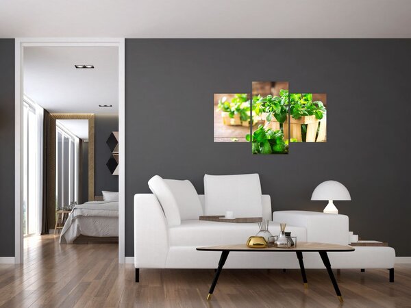 Slika svježe metvice (90x60 cm)