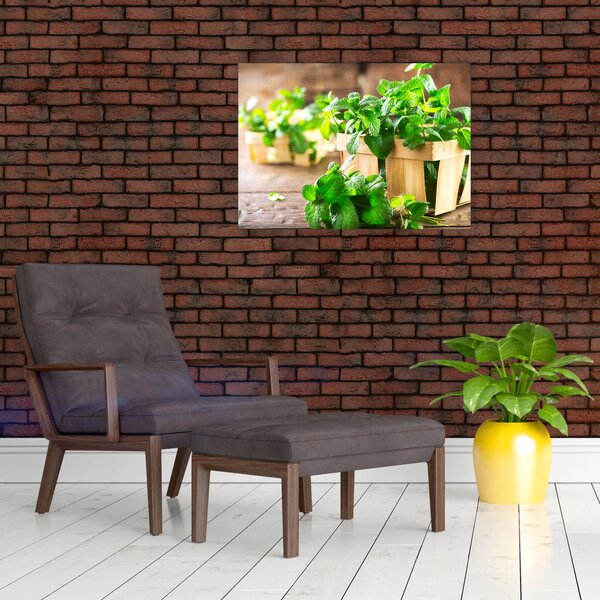 Slika svježe metvice (70x50 cm)