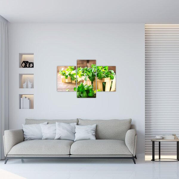 Slika svježe metvice (90x60 cm)