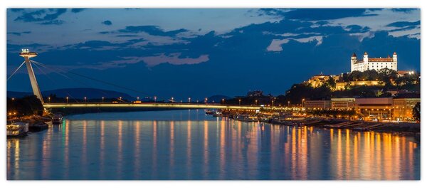 Slika Bratislave s dvorcem (120x50 cm)