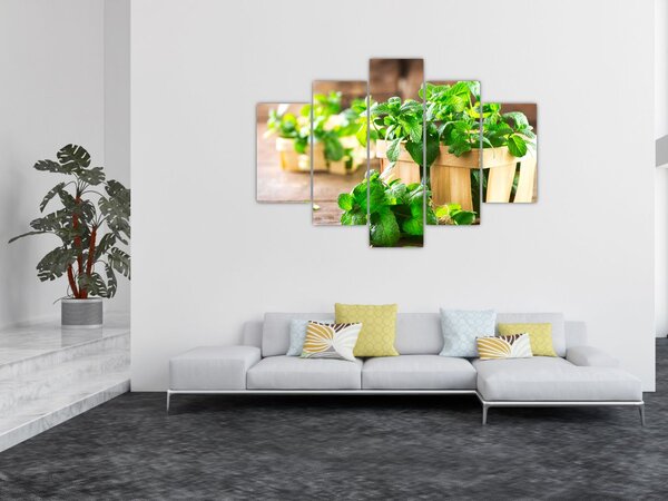 Slika svježe metvice (150x105 cm)