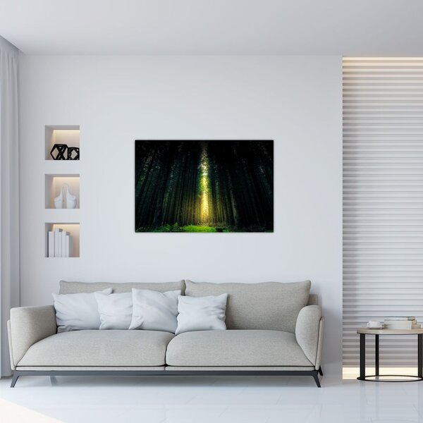 Slika mračne šume (90x60 cm)