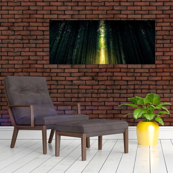 Slika mračne šume (120x50 cm)